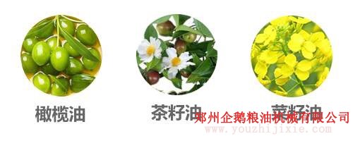 選油換油有講究, 食用油生產廠家教你選油吃油正確方法(圖2)